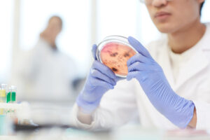 Stem cell therapy for anti-aging in Korea