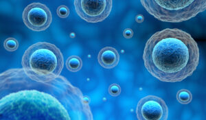 Stem cell therapy for anti-aging in Korea